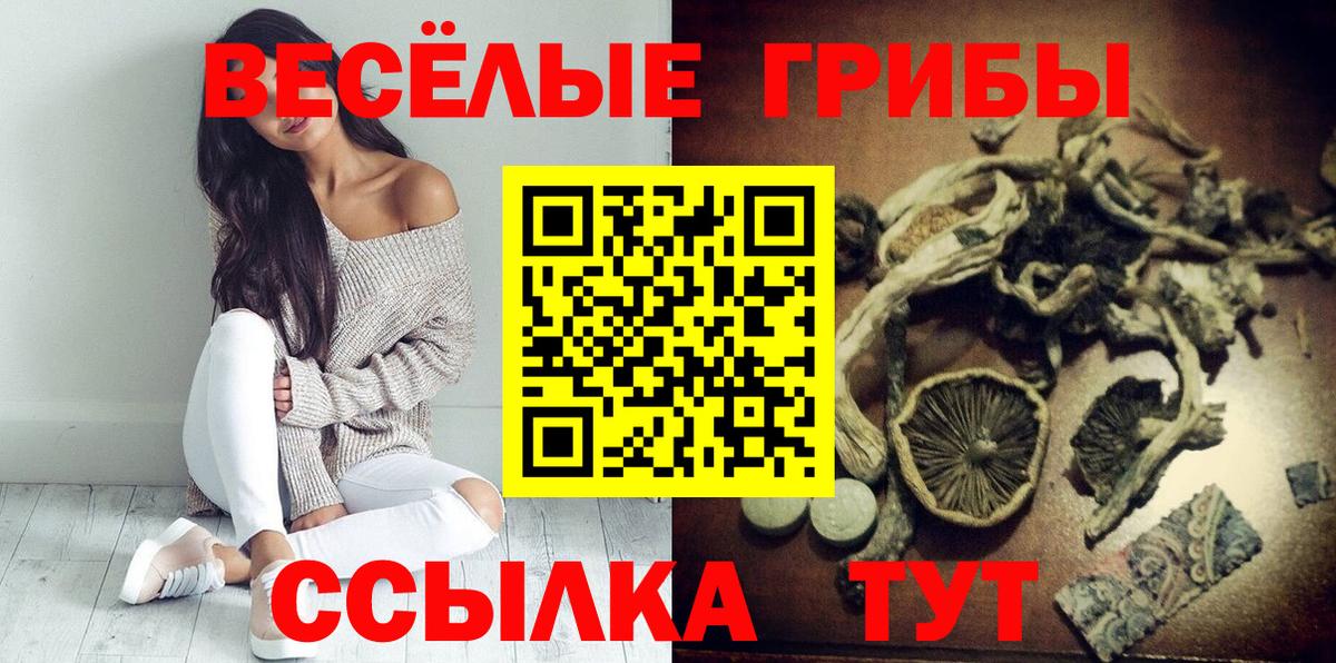 Псилоцибиновые грибы Psilocybine cubensis Ишим