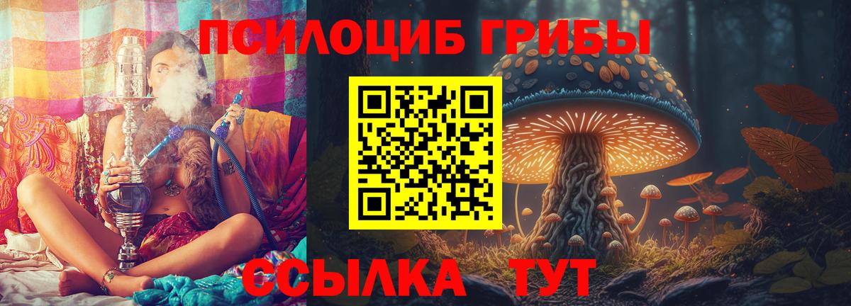 Ишим  Галлюциногенные грибы прущие грибы  Вход с VPN  Галлюциногенные грибы прущие грибы 
